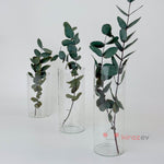 Silindir Cam Vazo Mumluk Orta Boy