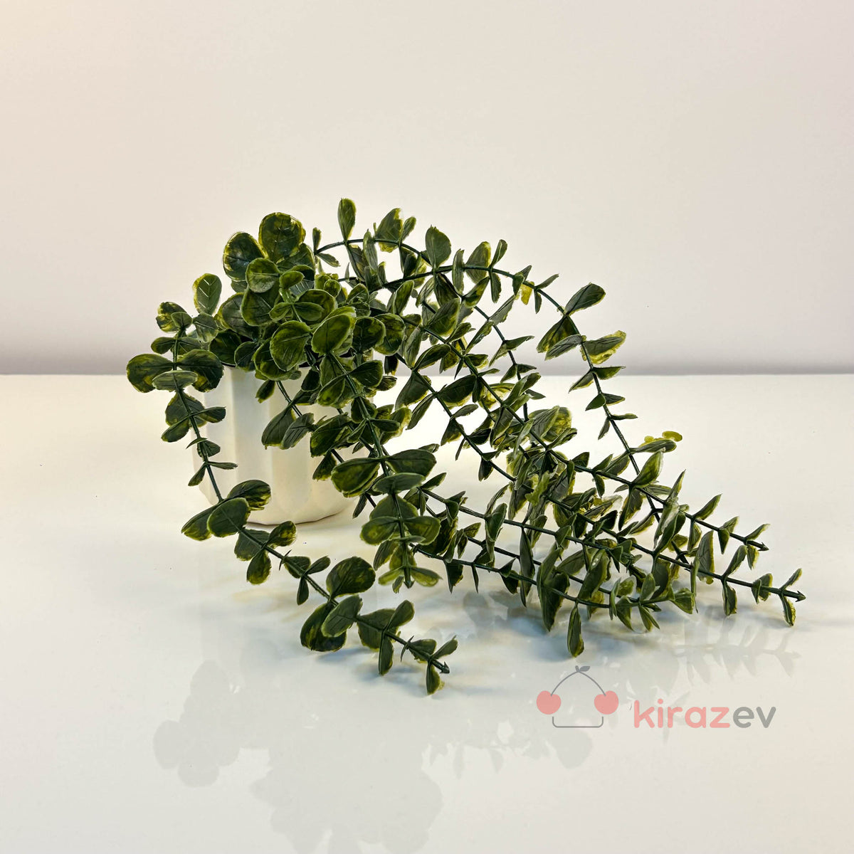 Beyaz Çizgili Saksıda Yeşil Okaliptüs Sarkıt Yapay Bitki