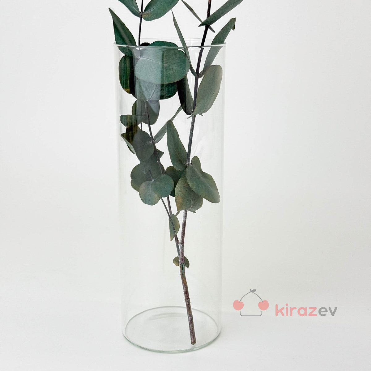 Silindir Cam Vazo Mumluk Büyük Boy