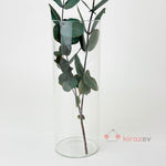 Silindir Cam Vazo & Mumluk Seti 3'lü