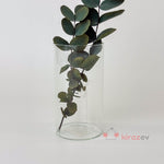 Silindir Cam Vazo & Mumluk Seti 3'lü