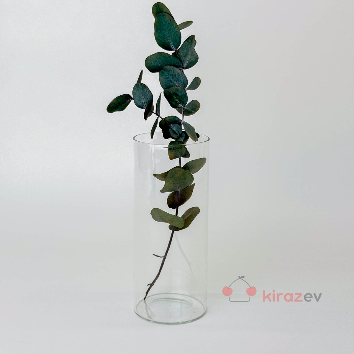 Silindir Cam Vazo Mumluk Orta Boy