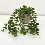 Çizgili Saksılı Yeşil Okaliptüs Sarkıt Yapay Bitki