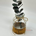 Flowers & Plants Cam Vazo - Kiraz Ev