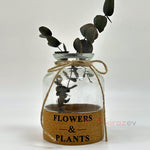 Flowers & Plants Cam Vazo