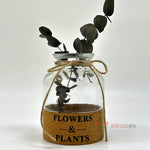 Flowers & Plants Cam Vazo - Kiraz Ev