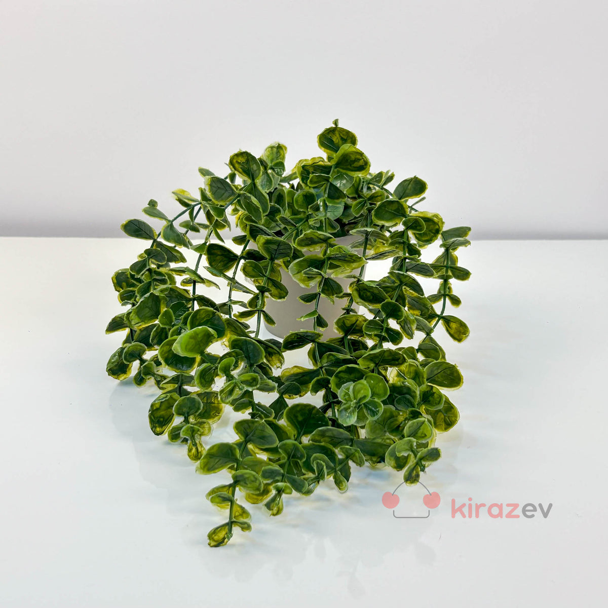 Saksılı Yeşil Okaliptus Sarkıt Yapay Bitki