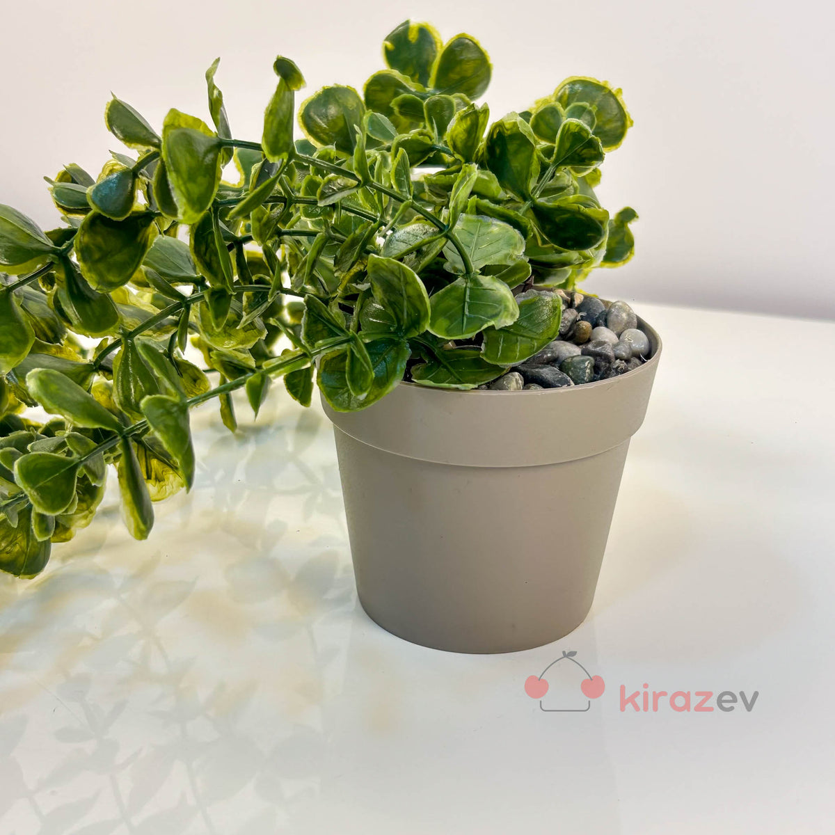 Saksılı Yeşil Okaliptus Sarkıt Yapay Bitki