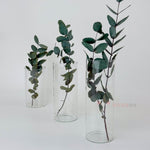 Silindir Cam Vazo Mumluk Küçük Boy