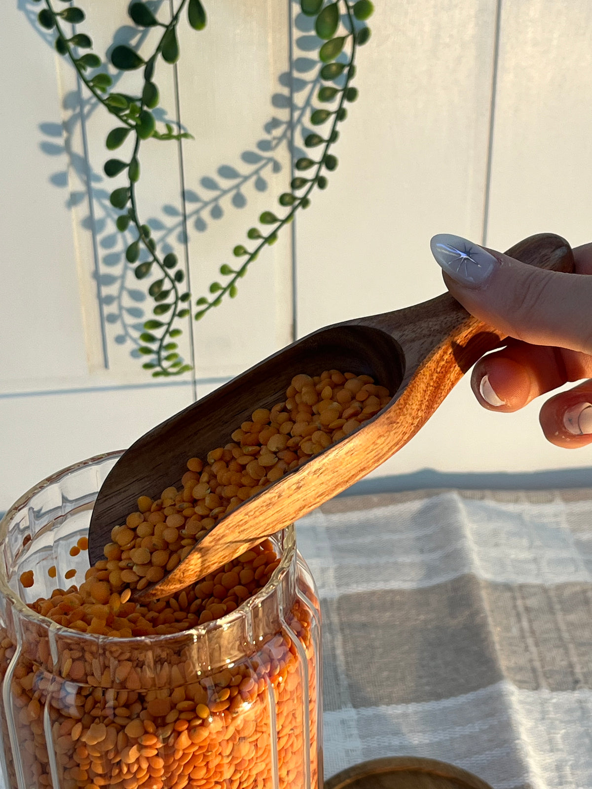 Akasya Baharat Erzak Küreği