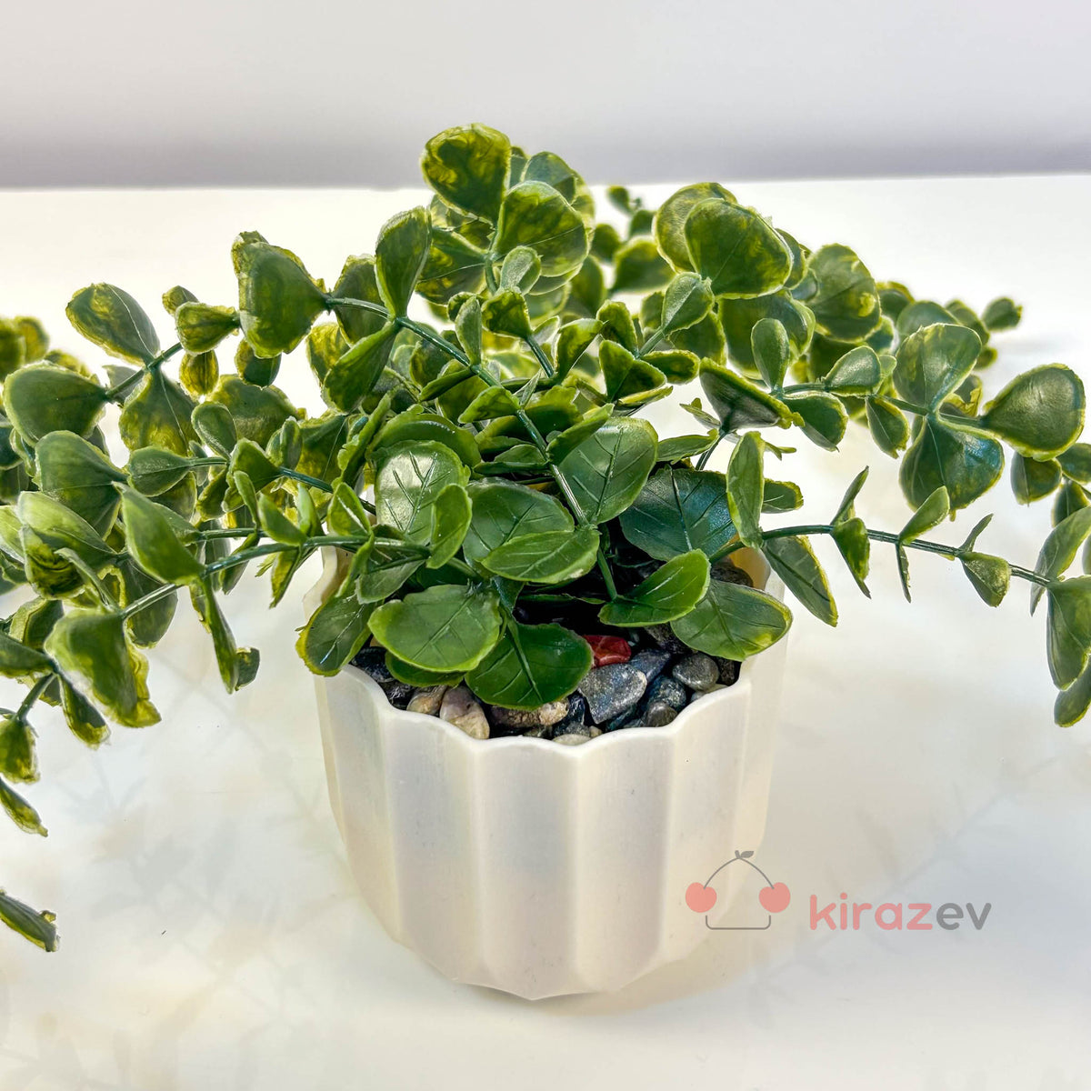 Beyaz Çizgili Saksıda Yeşil Okaliptüs Sarkıt Yapay Bitki