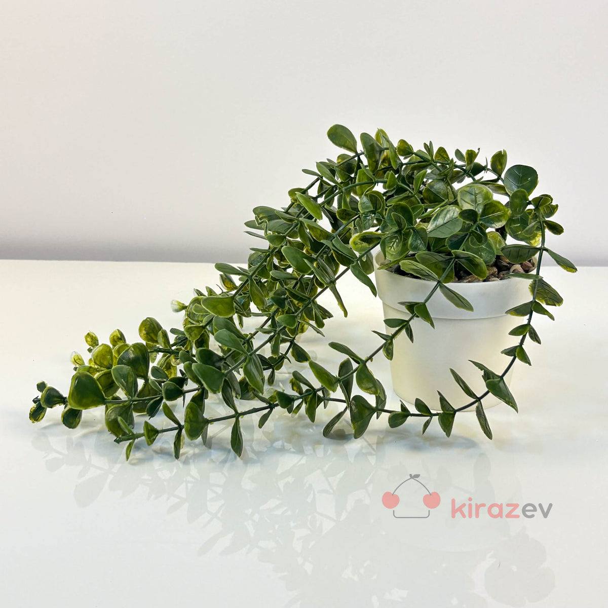 Beyaz Saksılı Yeşil Okaliptus Sarkıt Yapay Bitki