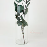 Silindir Cam Vazo Mumluk Büyük Boy