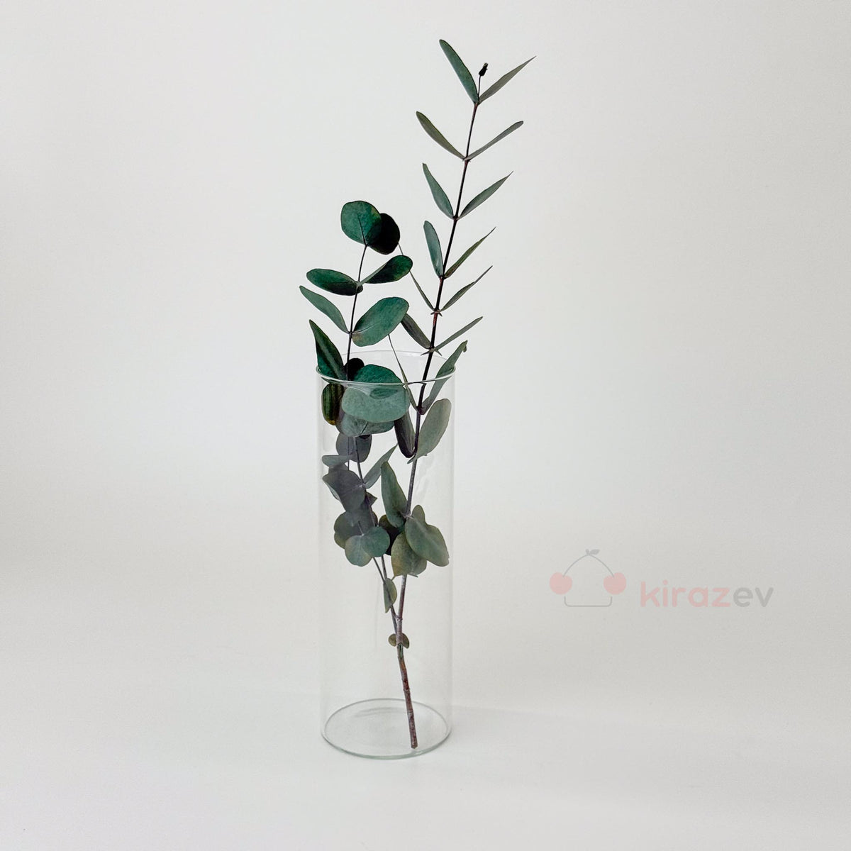 Silindir Cam Vazo Mumluk Büyük Boy