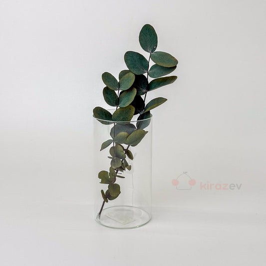 Silindir Cam Vazo Mumluk Küçük Boy