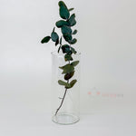 Silindir Cam Vazo Mumluk Orta Boy