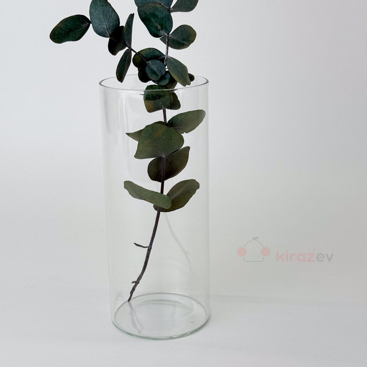 Silindir Cam Vazo Mumluk Orta Boy