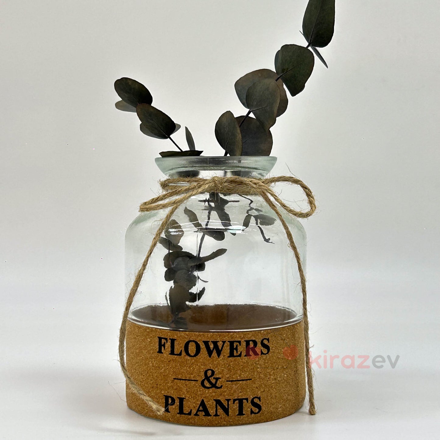 Flowers & Plants Cam Vazo