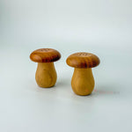 Mantar Bambu Tuzluk Biberlik 2'li