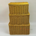 Rattan Kapaklı Kutu - 3'lü Set Saklama