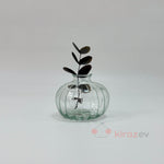 Şeffaf Top Cam Vazo