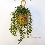 Çizgili Saksılı Yeşil Okaliptüs Sarkıt Yapay Bitki